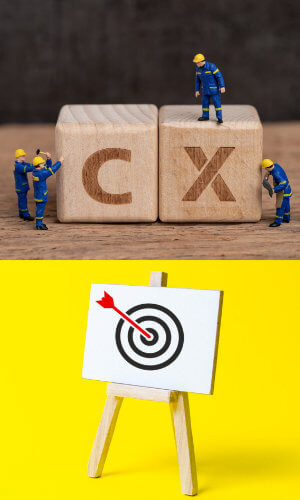introduction to CX online course objectives