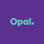Opal Packaging Plus logo